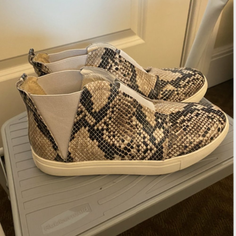 Snakeskin Matisse Footwear Sneakers
